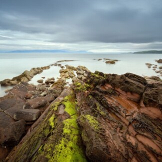 Image of Mossy Red by Noel Fenech Photography